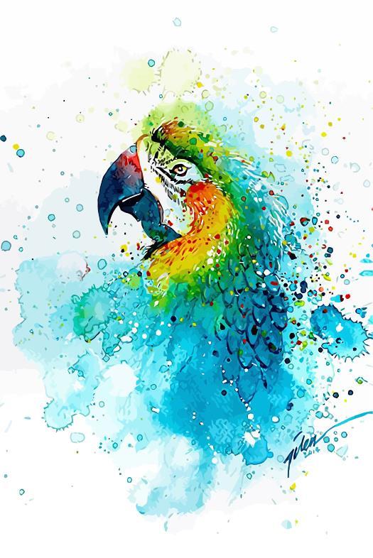 Splashed Parrot Birds Paint By Numbers.jpg