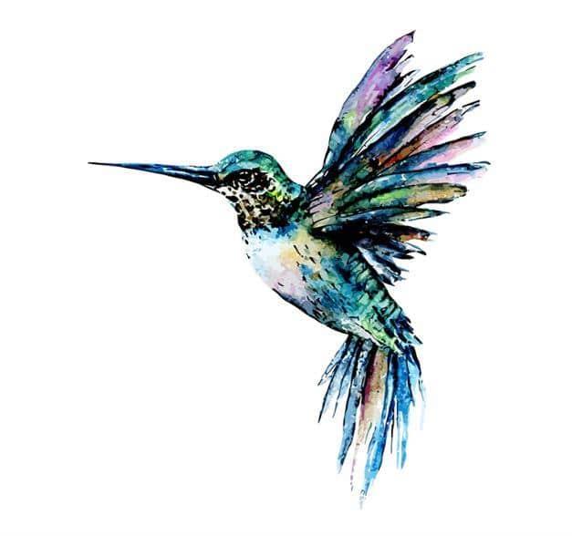 Galaxy Hummingbird Paint By Numbers.jpg