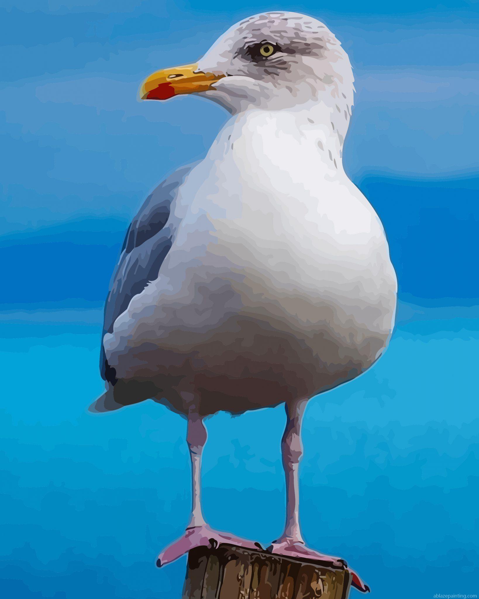 Aestehtic Seagull Bird Paint By Numbers.jpg