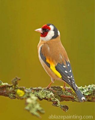 Goldfinch Bird Paint By Numbers.jpg