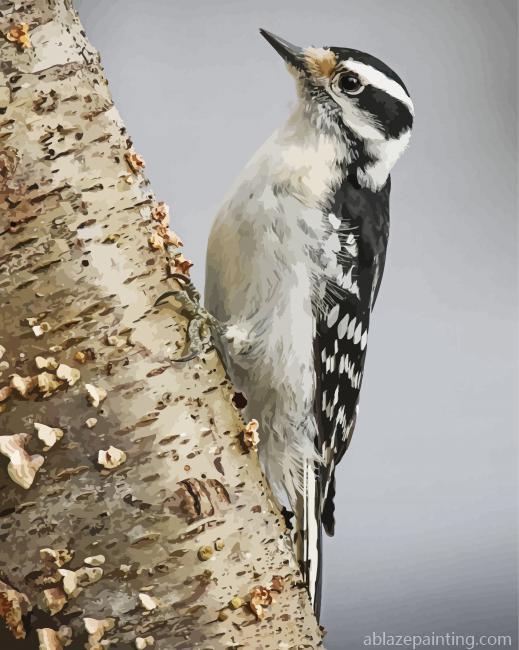 Downy Woodpecker Paint By Numbers.jpg