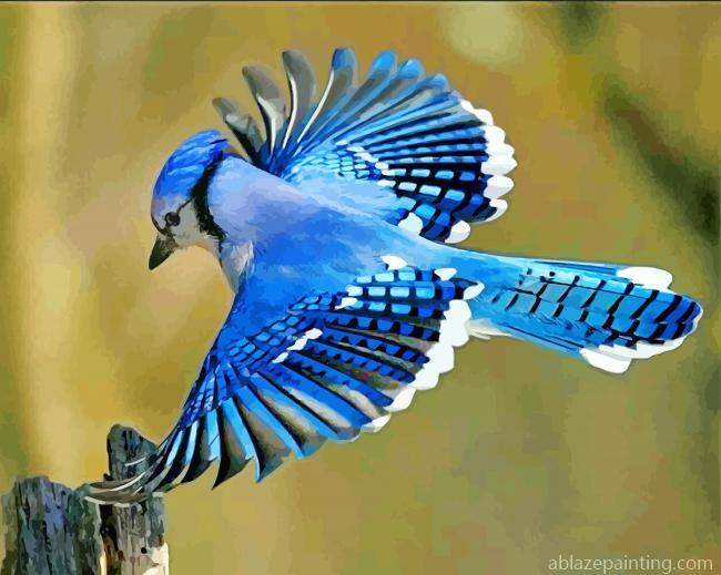 Flying Blue Jay Bird Paint By Numbers.jpg