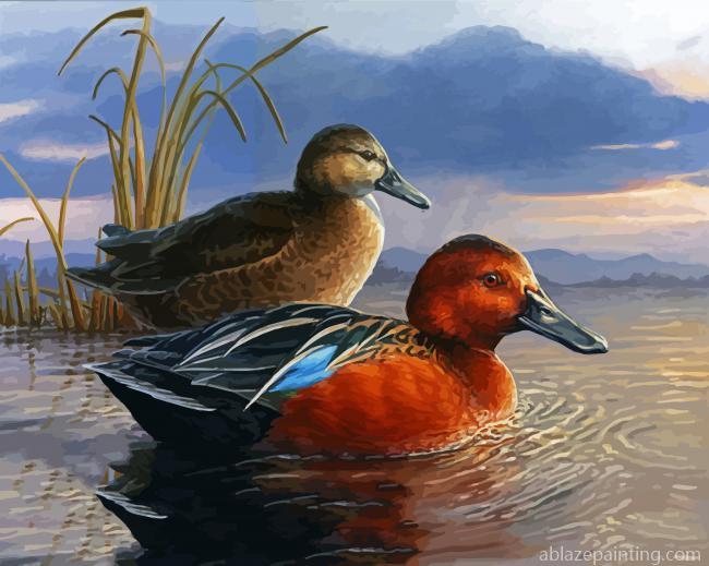 Waterfowl Bird Illustration Paint By Numbers.jpg