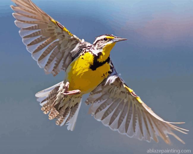 Flying Western Meadowlark Paint By Numbers.jpg