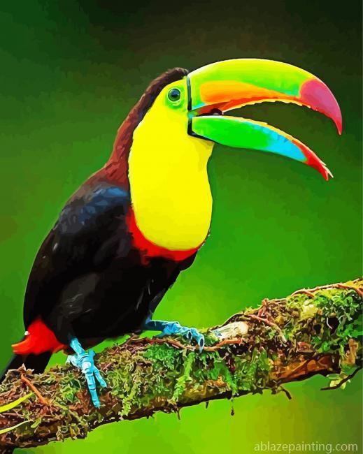 Colorful Tucan Bird Paint By Numbers.jpg