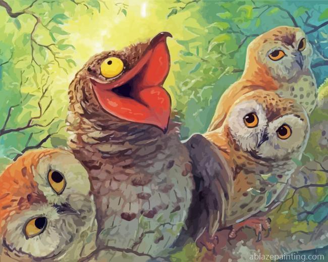 Potoo And Owls Paint By Numbers.jpg