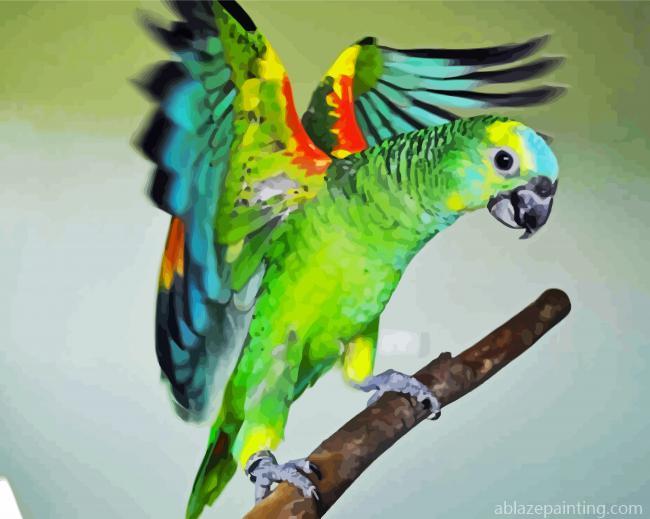Amazon Parrot Bird Paint By Numbers.jpg