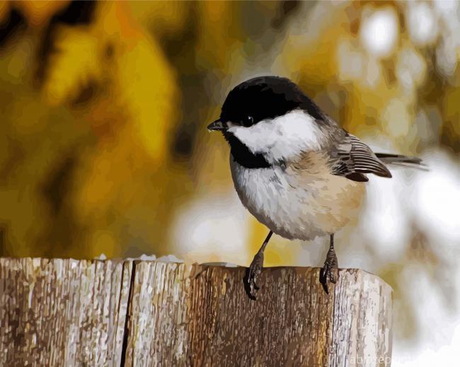 Black And White Chickadee Paint By Numbers.jpg