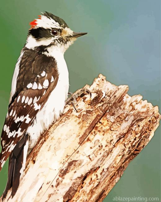 Woodpecker Bird Paint By Numbers.jpg
