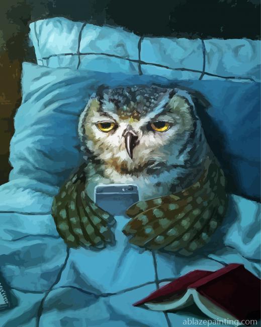 Sleepy Owl Paint By Numbers.jpg