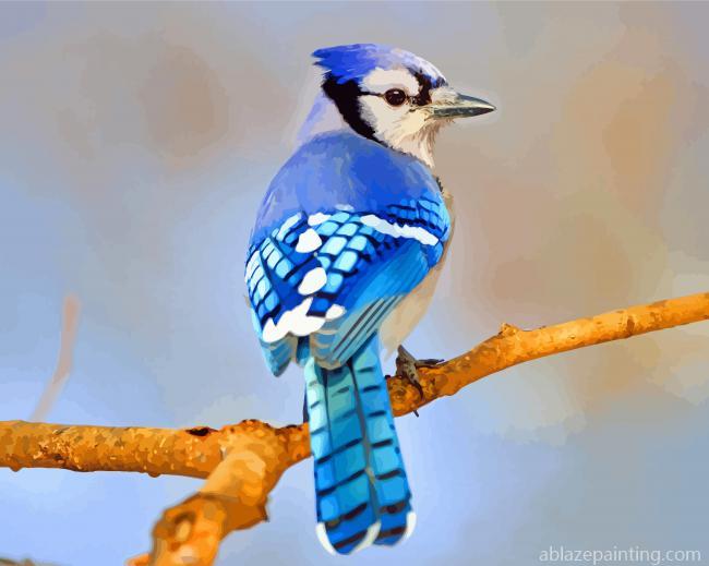 Blue Jay Bird Paint By Numbers.jpg