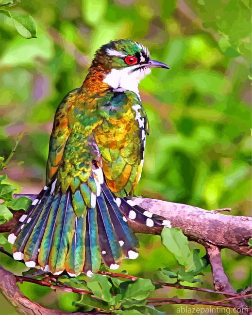 Male Cuckoo Bird Paint By Numbers.jpg