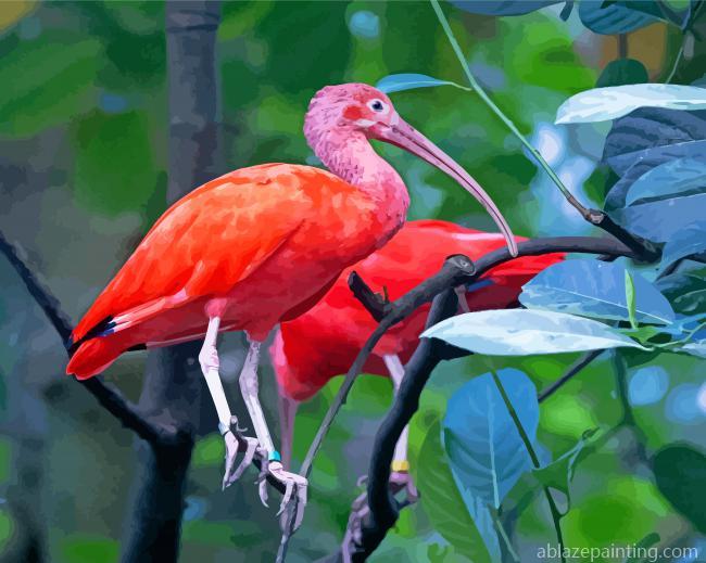 Tropical Scarlet Ibis Bird Paint By Numbers.jpg