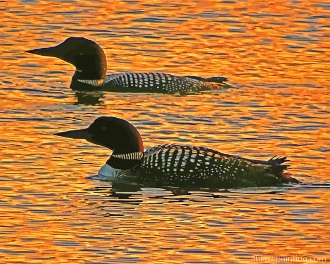 Aquatic Loons At Sunset Paint By Numbers.jpg