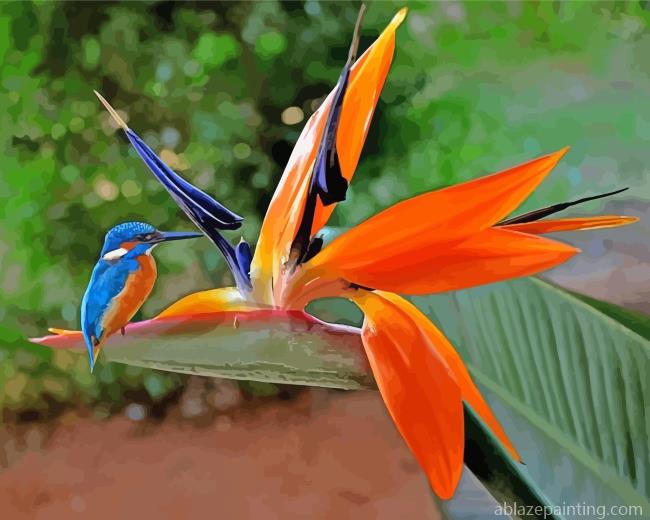 Kingfisher On Paradise Flower Paint By Numbers.jpg
