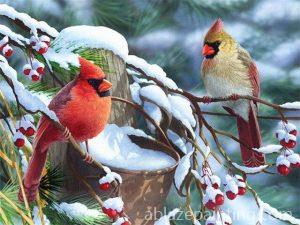 Winter Birds Paint By Numbers.jpg