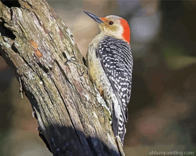 Aesthetic Red Bellied Woodpecker Paint By Numbers.jpg