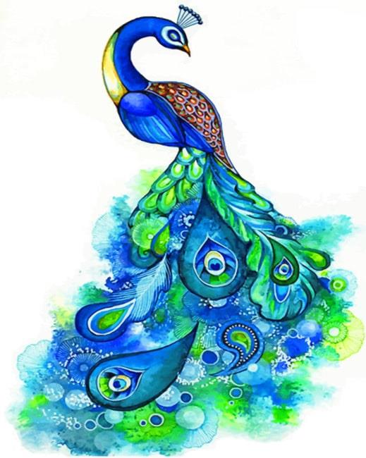 Peacock Art Birds Paint By Numbers.jpg