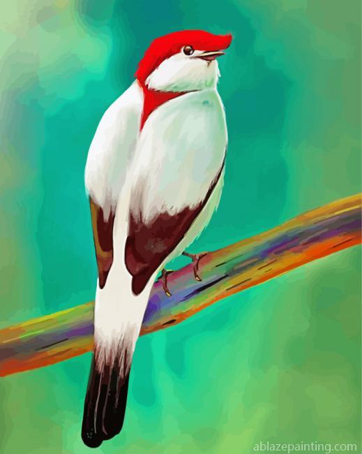Beautiful Manakin Bird Paint By Numbers.jpg