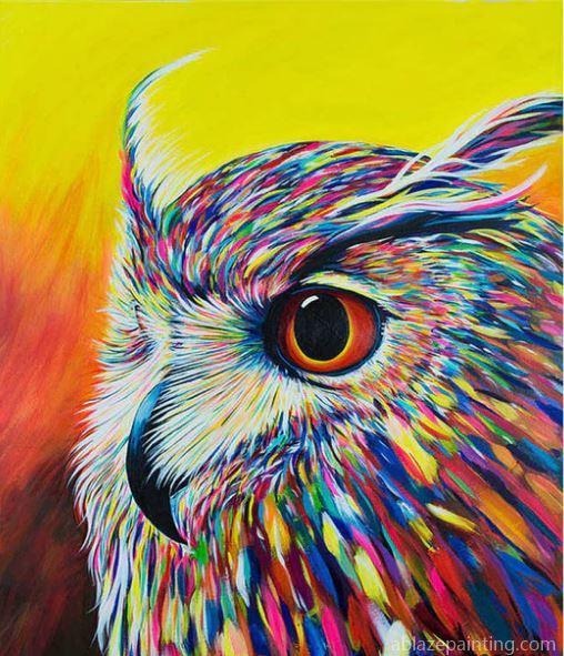 Owl Portrait Birds Paint By Numbers.jpg