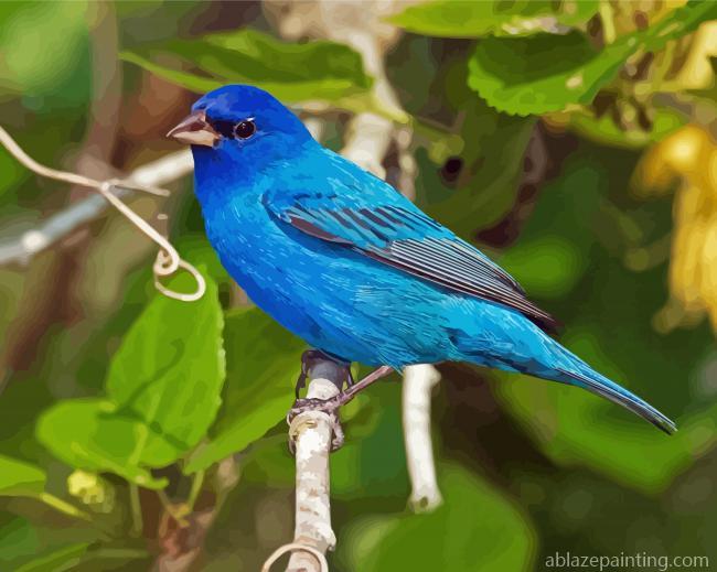 Indigo Bunting Bird In A Branch Paint By Numbers.jpg