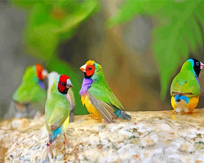 Finches Birds Paint By Numbers.jpg