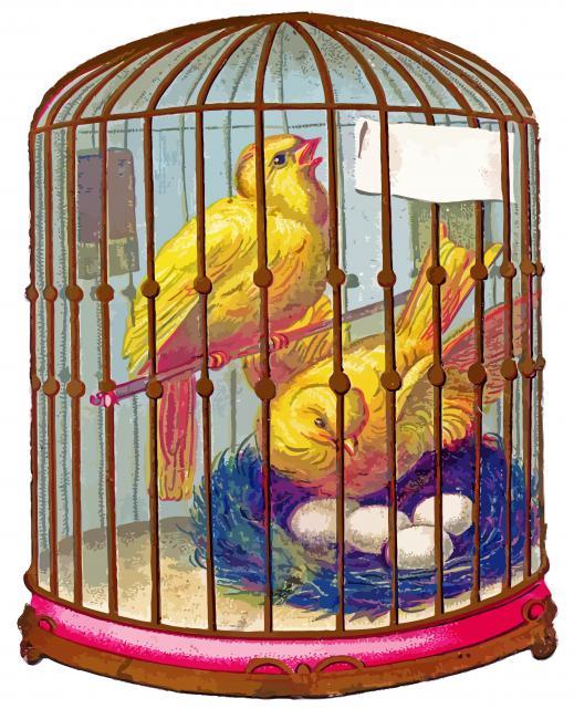 Canary Birds In Cage Paint By Numbers.jpg