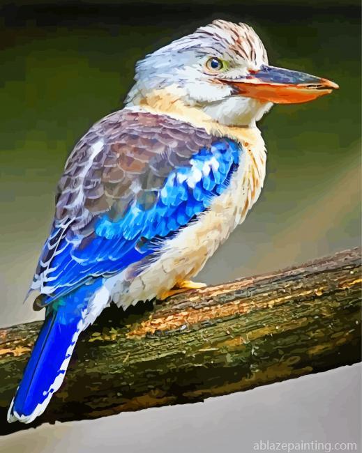Kookaburra Beautiful Bird Paint By Numbers.jpg