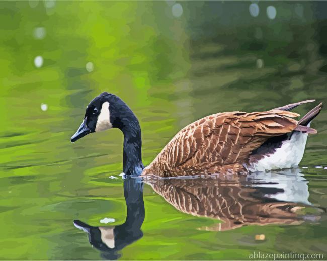 Canadian Goose Bird In Water Paint By Numbers.jpg