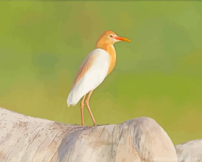 Aesthetic Egret Bird Paint By Numbers.jpg