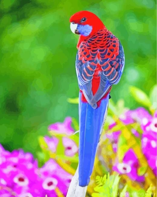 Blue Red Crimson Rosella Paint By Numbers.jpg