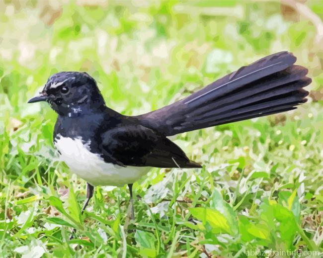 Cool Willie Wagtail Paint By Numbers.jpg