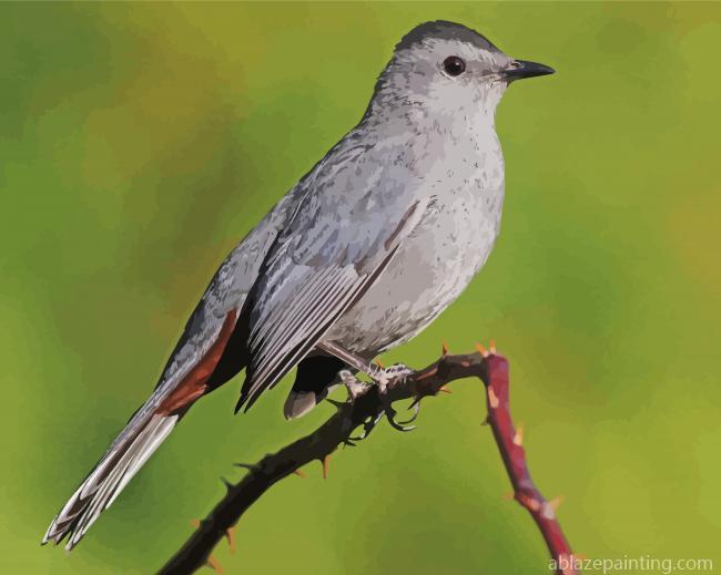 Catbird Paint By Numbers.jpg