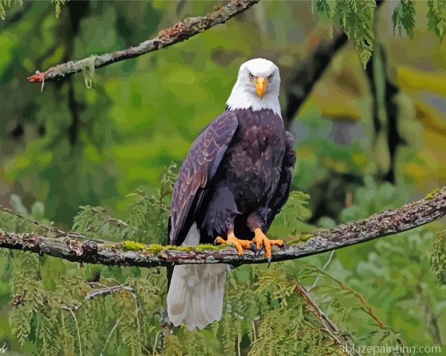 Eagle On A Branch Wildlife Paint By Numbers.jpg