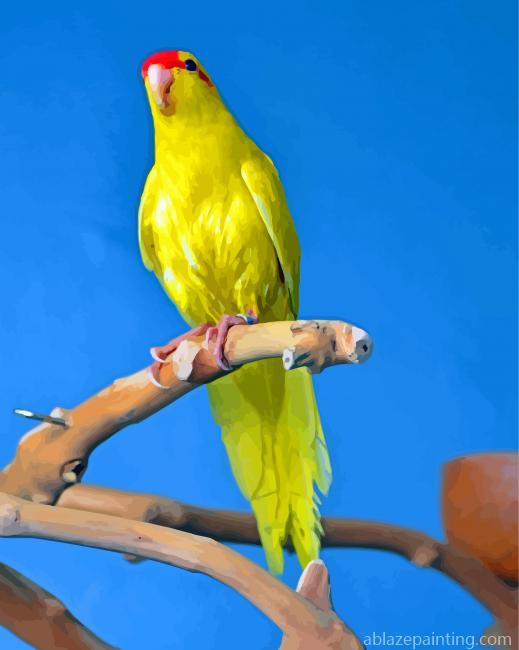 Yellow Kakariki Bird Paint By Numbers.jpg
