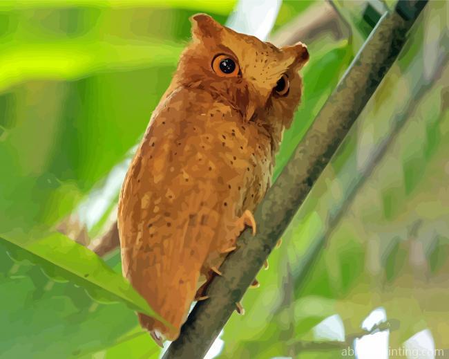 Aesthetic Philippine Scops Owl Paint By Numbers.jpg
