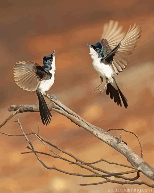 Paperback Flycatcher Birds Paint By Numbers.jpg
