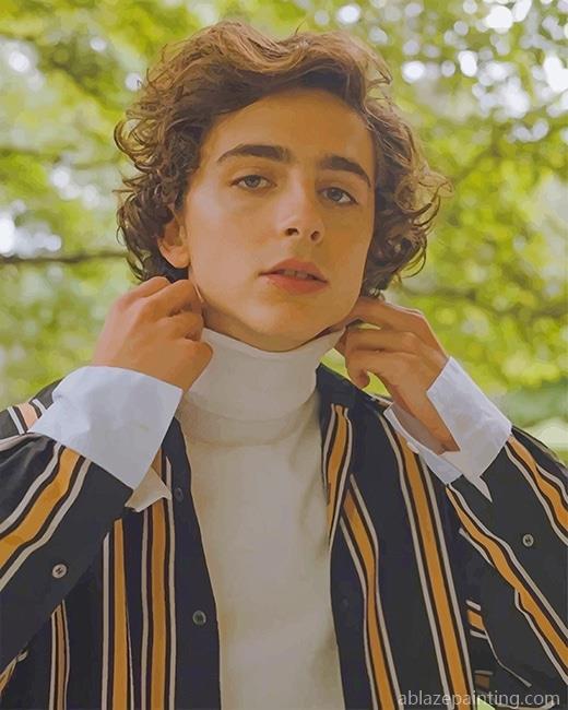 Classy Timothee Chalamet New Paint By Numbers.jpg