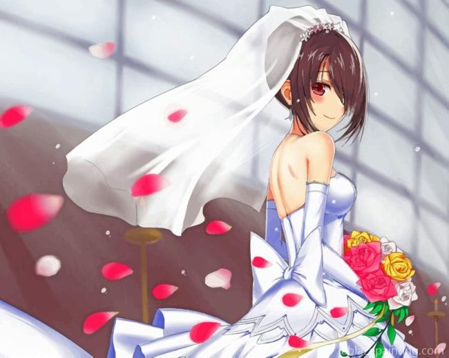 Anime Bride Paint By Numbers.jpg