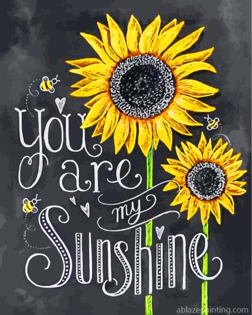 You Are My Sunshine Paint By Numbers.jpg