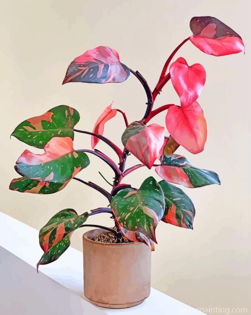Pink Philodendron Paint By Numbers.jpg