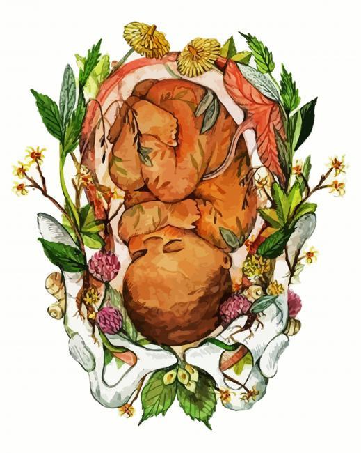 Unborn Baby Illustration Paint By Numbers.jpg