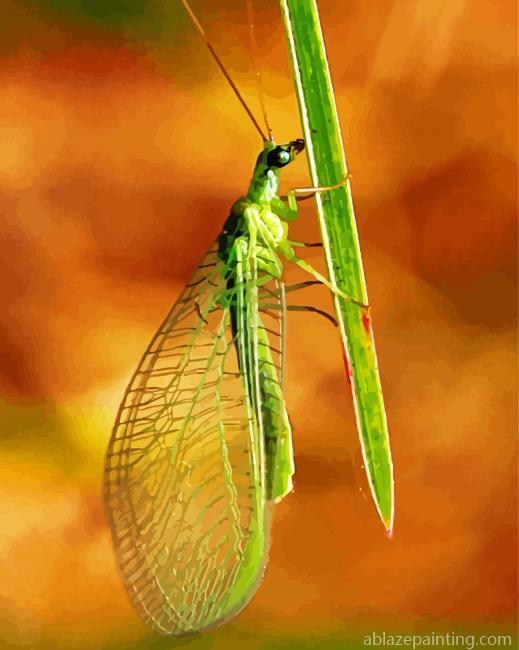 Green Lacewing Insect Paint By Numbers.jpg