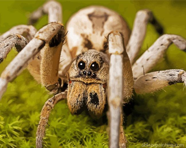 Wolf Spider Paint By Numbers.jpg