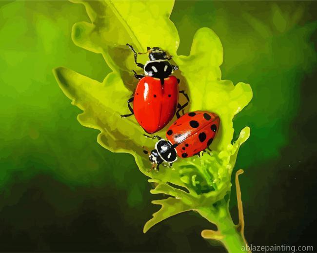 Ladybugs On A Leaf Paint By Numbers.jpg