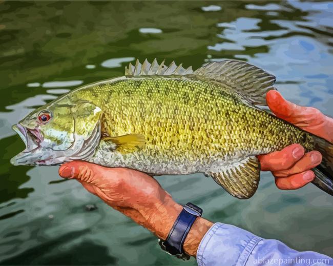 Smallmouth Fish Paint By Numbers.jpg