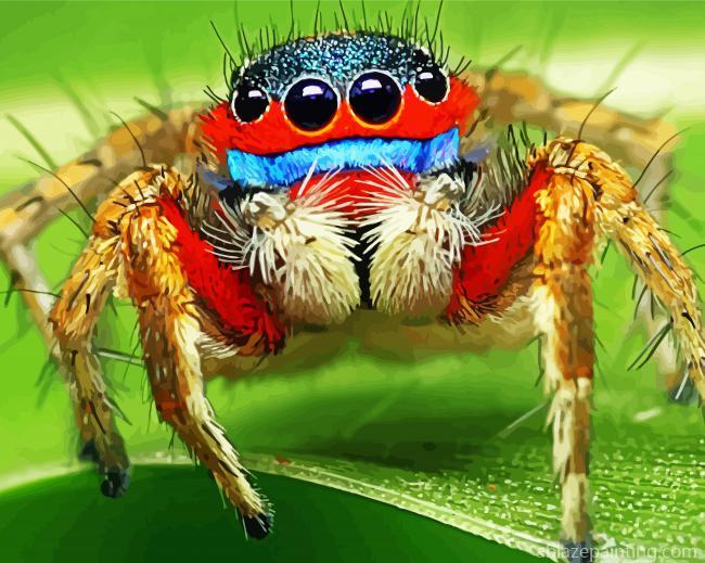 Colorful Spider Paint By Numbers.jpg