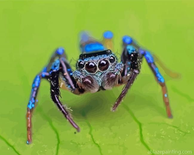 Blue Spider Insect Paint By Numbers.jpg