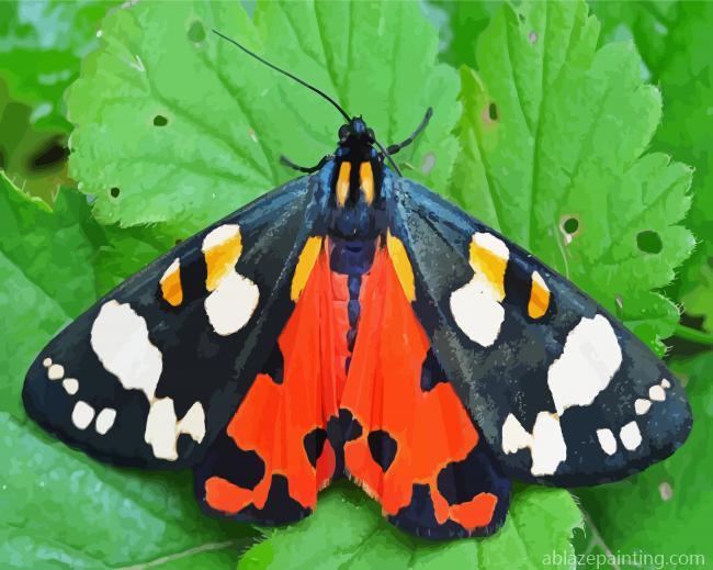 Tiger Moth Butterfly Paint By Numbers.jpg