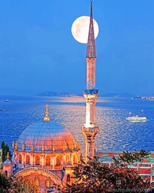 The Blue Mosque Turkey Cities Paint By Numbers.jpg